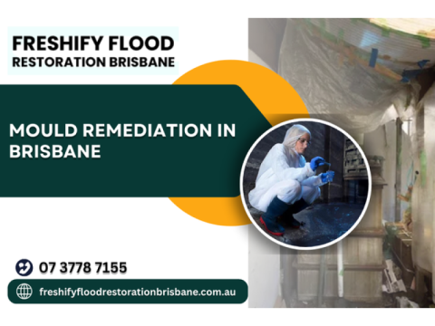 Mould Remediation Brisbane Experts