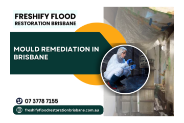 Mould Remediation Brisbane Experts
