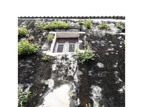 Mould Remediation Brisbane Experts - 2/2