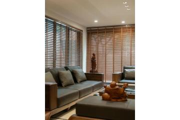 Custom Venetian Blinds Designed for Adelaide Homes