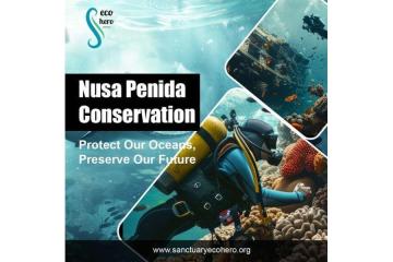 Nusa Penida Conservation