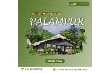 Best Resorts in Palampur for Nature Lovers