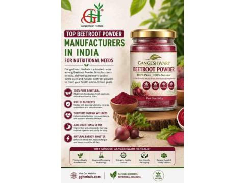 Top Beetroot Powder Manufacturers in India for Nutritional Needs