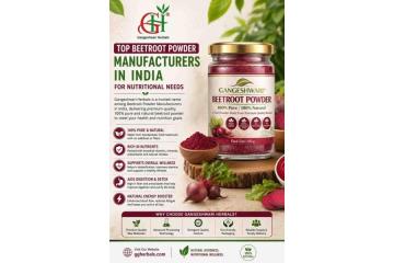 Top Beetroot Powder Manufacturers in India for Nutritional Needs