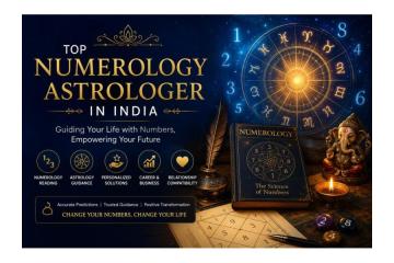 TEAM9 Numerology Astrologer for Career & Relationship Guidance