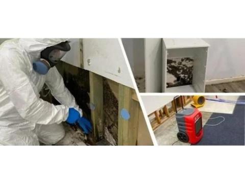 Want Safe and Effective Mould Cleaning Service Today?