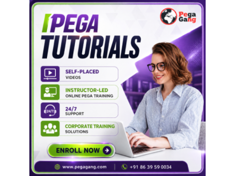 Industry Expert Pega Tutorials for Enterprise Workflow Management