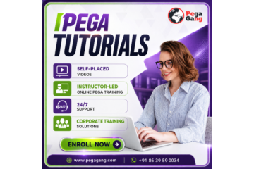 Industry Expert Pega Tutorials for Enterprise Workflow Management