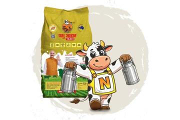 Best feed for dairy cows in Rajasthan