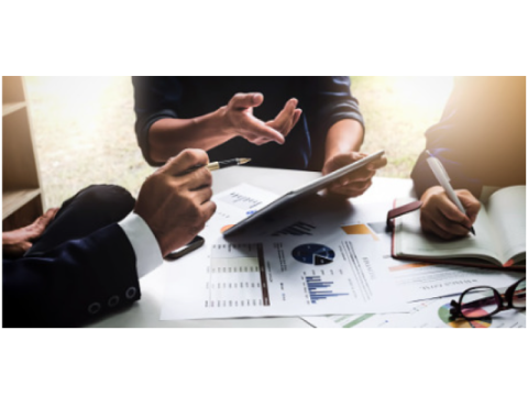 Delegated Fund Management Services