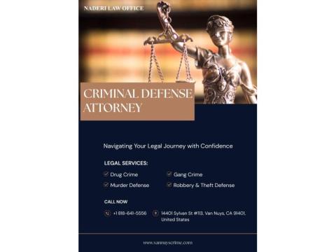 The Role of a Criminal Defense Attorney Van Nuys in Felony Cases !
