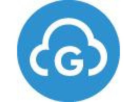 Grow Faster with Salesforce Partner UAE Solutions by Gravity Infosolutions
