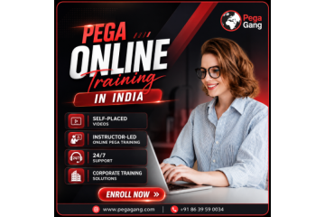 Learn Pega Infinity Technologies with Online Training in India
