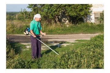 Keep Your Trees Healthy with Expert Pruning in Alberta