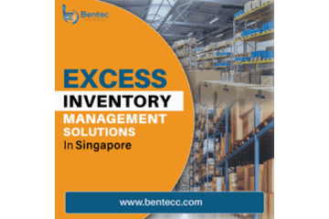 Excess Inventory Management Solutions in Singapore