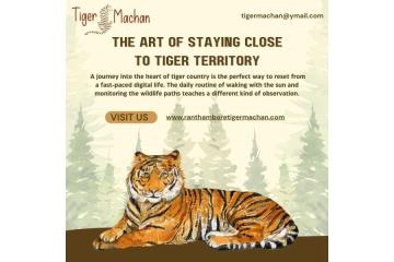 The Art of Staying Close to Tiger Territory
