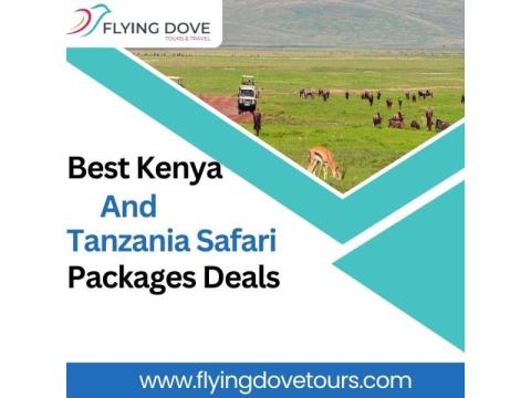 Best Kenya and Tanzania Safari Packages Deals