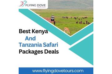 Best Kenya and Tanzania Safari Packages Deals