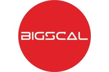 Bigscal The Ultimate Software Development Company  