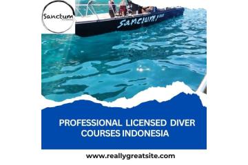Professional Licensed Diver Courses Indonesia