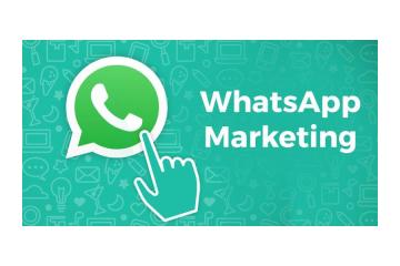 How Can WhatsApp Business API Improve Customer Support and Engagement?