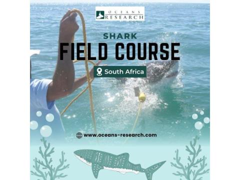 Shark Field Course South Africa