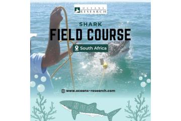 Shark Field Course South Africa