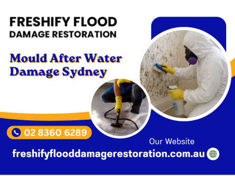 Mould After Water Damage Sydney – Act Fast