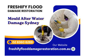 Mould After Water Damage Sydney – Act Fast