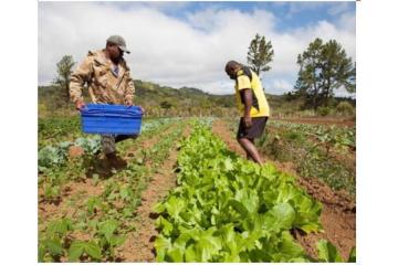 Reliable Gardening Maintenance Services in Mumbai by CISB