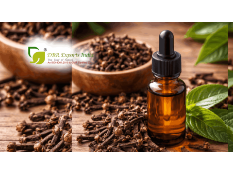 Clove Bud Oil Suppliers | DBR Exports India