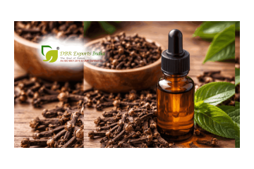 Clove Bud Oil Suppliers | DBR Exports India