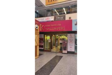 Wallpaper Shop Gurgaon | Kingdom Of Wallpapers