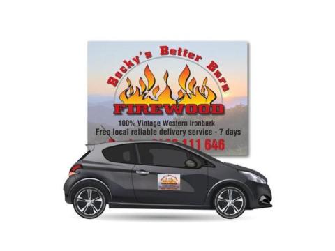 Looking for Car Door Magnets