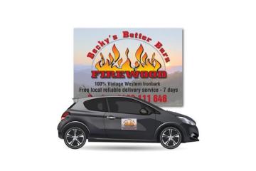 Looking for Car Door Magnets