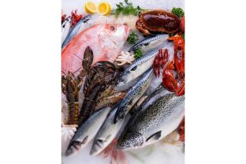 Waterfront Fish Market Dubai Timings: Open Around the Clock for Total Freshness