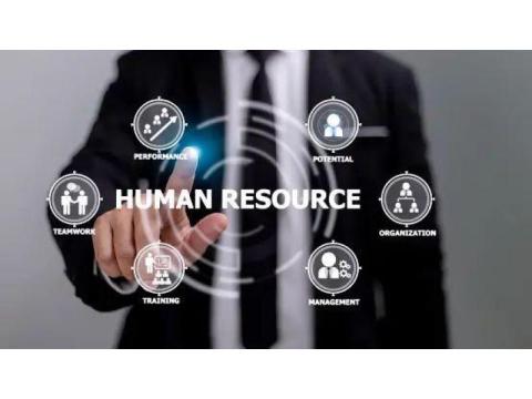 What Businesses Gain From Using Human Resource Information Systems Services