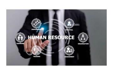 What Businesses Gain From Using Human Resource Information Systems Services