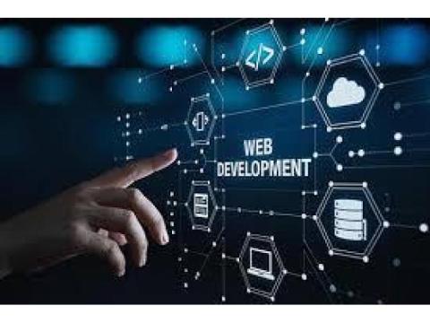 Why Development & Tech Services Matter for Long-Term Business Growth