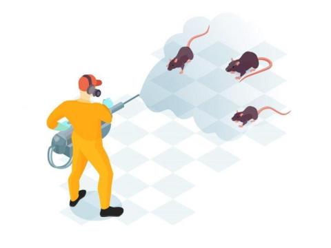 Reliable Rat Control San Jose CA | Malang Pest Control 