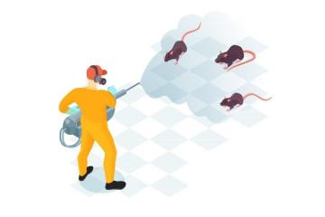 Reliable Rat Control San Jose CA | Malang Pest Control 