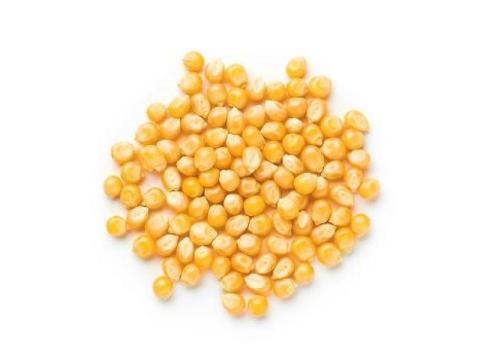 Best Popcorn Supplier Australia for Fresh and Quality Snacks