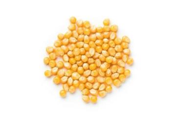 Best Popcorn Supplier Australia for Fresh and Quality Snacks