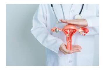 Uterine Fibroid Embolization for Safe & Effective Fibroid Care