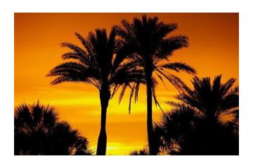 Best Services to File a Corporation in Florida Today