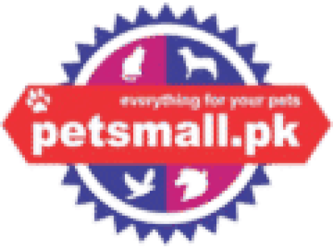Pets Mall Pakistan | Your Go-To Pet Shop Pakistan