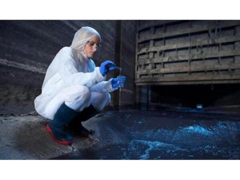 Mould Inspection Brisbane Professionals
