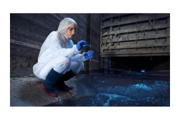 Mould Inspection Brisbane Professionals