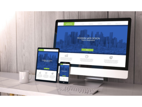 SEO Services in Toronto for Business Growth