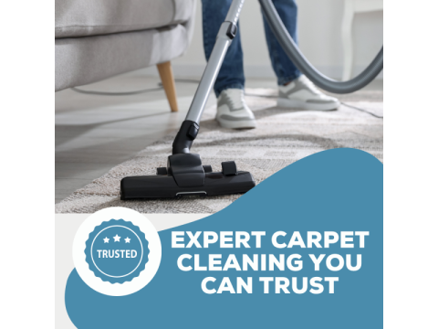 Professional Carpet Cleaning for a Healthier Home